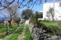 Дом в Белеши в оливковой роще