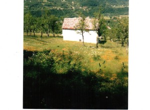 Дом  с большим участком в селе Зорицы, между Плавом и Андриевица.