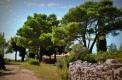 Дом на полуострове Луштице в местечке Мркови среди оливковых рощ